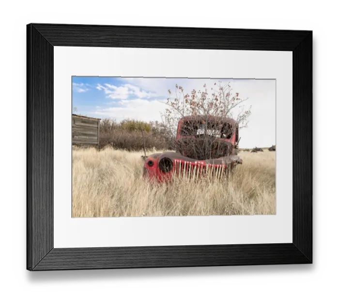 Framed Print : A bush grows out of a trucks engine block Framed Print : A bush grows out of a trucks engine block