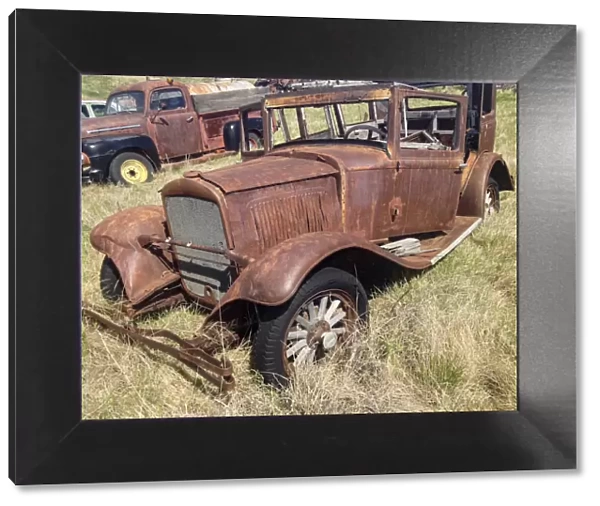 Vintage vehicles left to rot in a prairie scrapyard