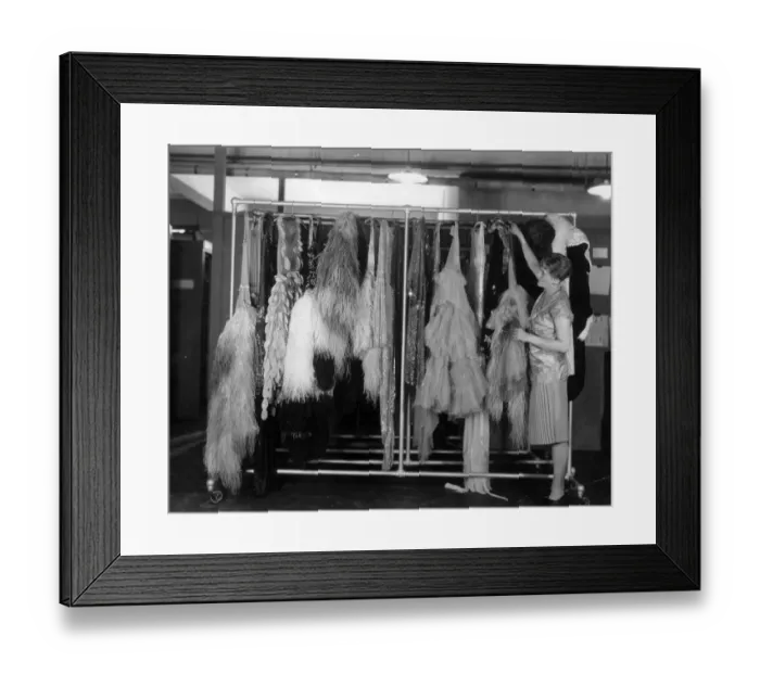Framed Print : Dress Collection Framed Print : Dress Collection