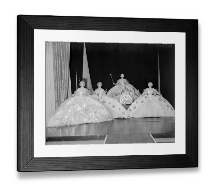 Framed Print : Expansive Ballgowns Framed Print : Expansive Ballgowns