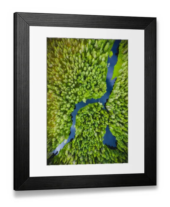 Framed Print : Aerial view of a small river flowing through marshland in Finland Framed Print : Aerial view of a small river flowing through marshland in Finland