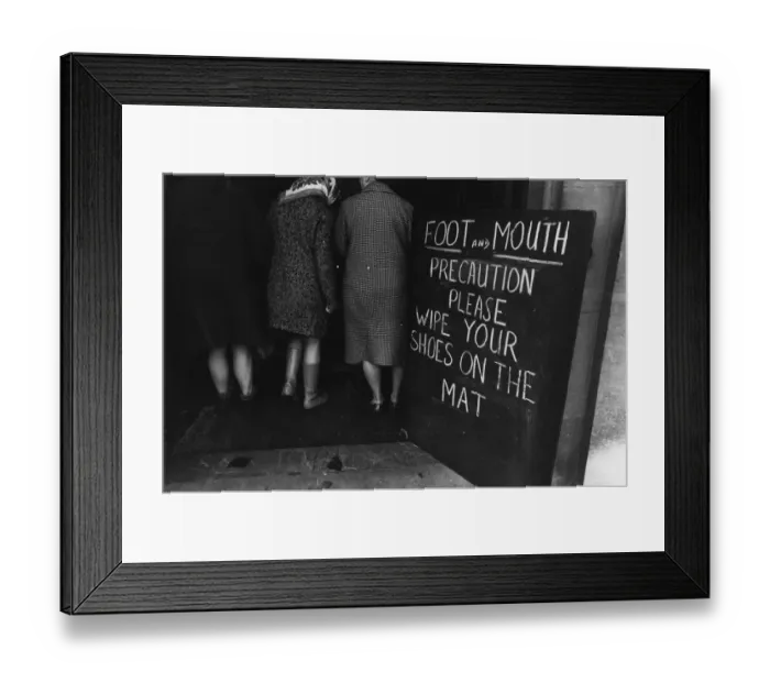 Framed Print : Foot And Mouth Framed Print : Foot And Mouth