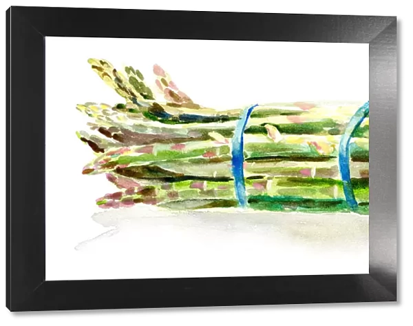 Watercolor fruit and flower_asparagus