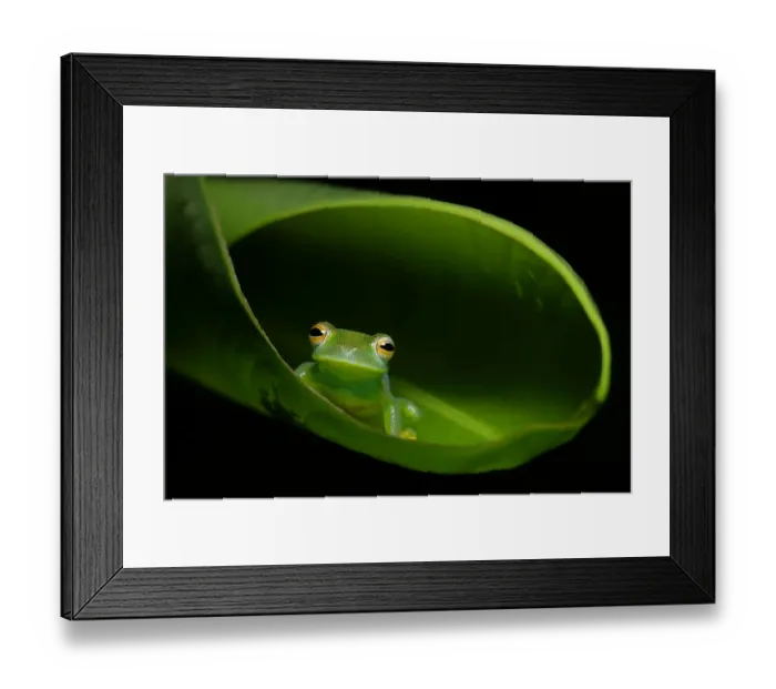 Framed Print : Granular Glass Frog Framed Print : Granular Glass Frog
