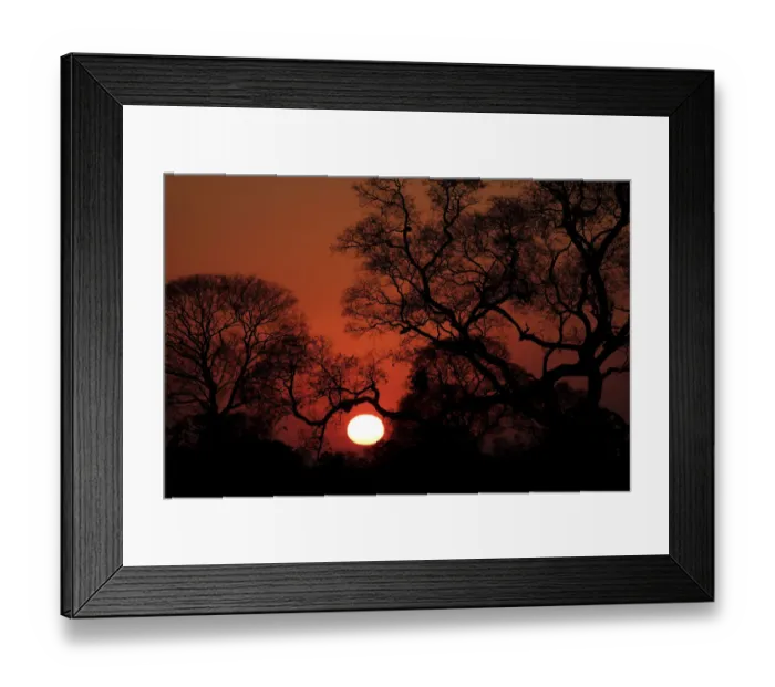 Framed Print : Pantanal Sunrise Framed Print : Pantanal Sunrise