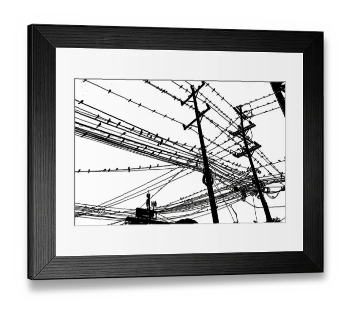 Framed Print : Birds on Wire, 507639450 Framed Print : Birds on Wire, 507639450
