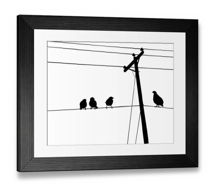Framed Print : Birds on Wire, 462680765 Framed Print : Birds on Wire, 462680765