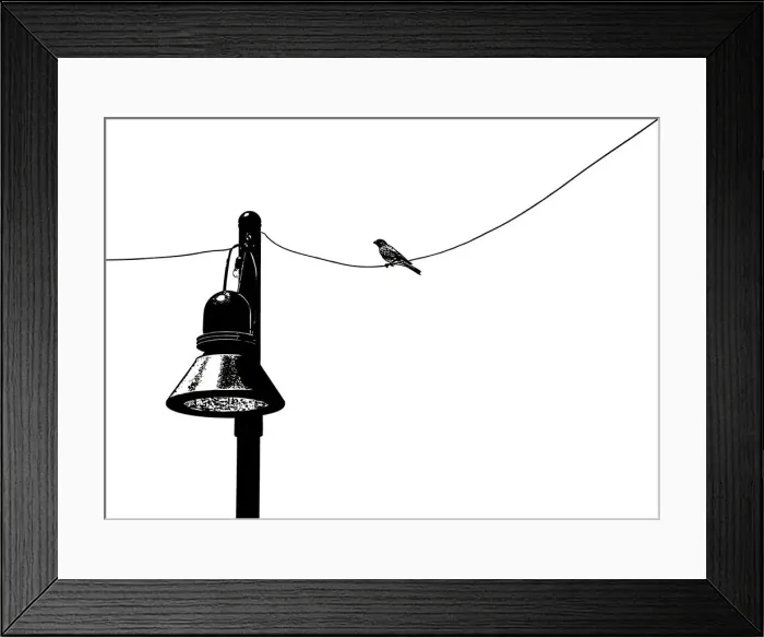 Framed Print : Birds on Wire, 544675432 Framed Print : Birds on Wire, 544675432