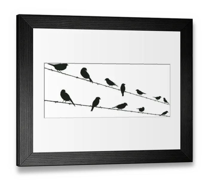 Framed Print : Birds on Wire, 457819851 Framed Print : Birds on Wire, 457819851