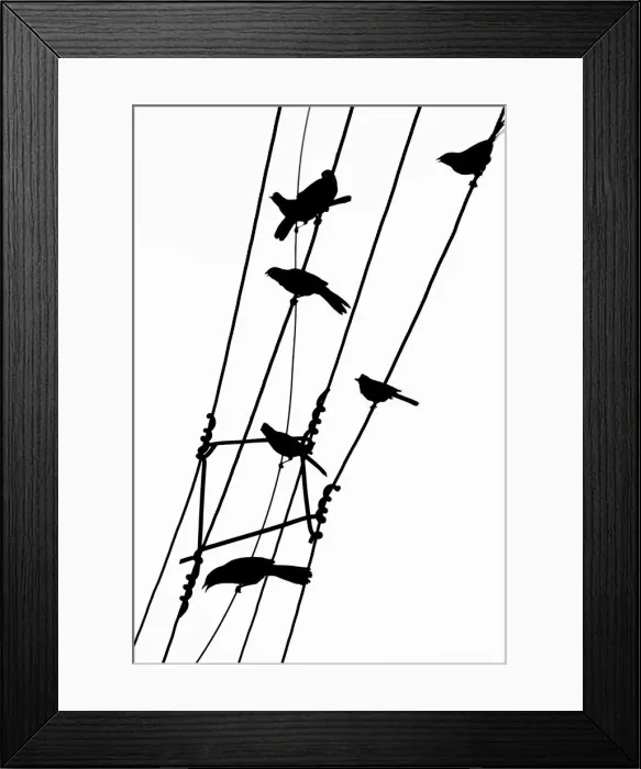 Framed Print : Bird silhouettes on a power line Framed Print : Bird silhouettes on a power line