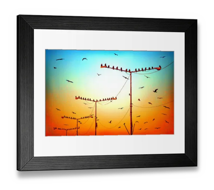Framed Print : Birds on lamp posts Framed Print : Birds on lamp posts