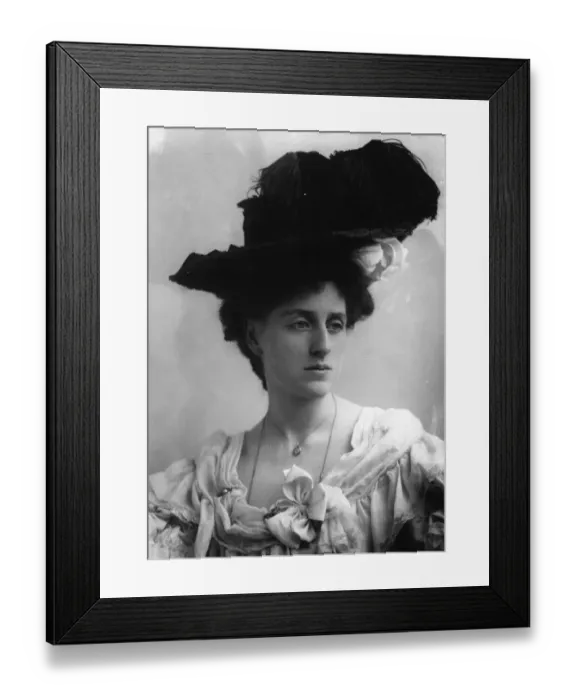 Framed Print : Ostrich Feather Framed Print : Ostrich Feather