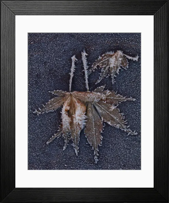 Framed Print : Ice Crystals in Nature Close up Framed Print : Ice Crystals in Nature Close up