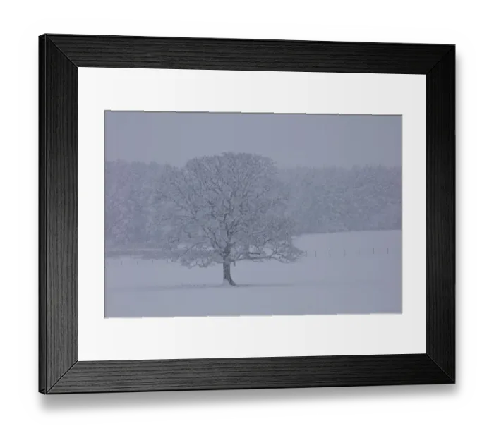 Framed Print : Wintry Landscape During Snowfall Framed Print : Wintry Landscape During Snowfall