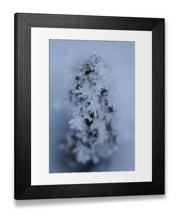 Framed Print : Ice Crystals in Nature Close up Framed Print : Ice Crystals in Nature Close up