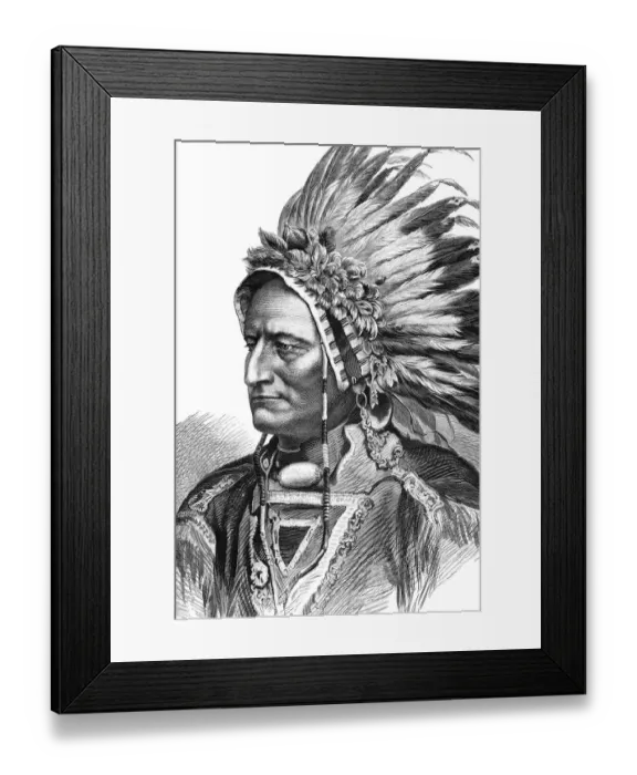 Framed Print : Portrait of native american tribal chief Sitting Bull 1875 Framed Print : Portrait of native american tribal chief Sitting Bull 1875