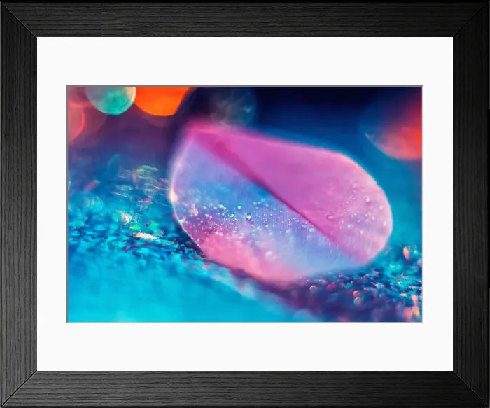 Framed Print : Pink birds feather on blue bokeh backdrop. Abstract artistic macro photo Framed Print : Pink birds feather on blue bokeh backdrop. Abstract artistic macro photo