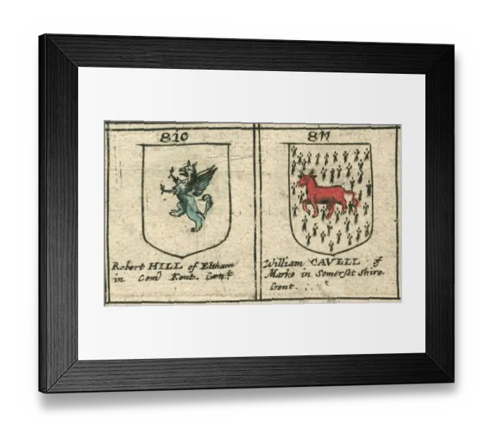 Framed Print : Coat of arms 17th century Hill and Cavell Framed Print : Coat of arms 17th century Hill and Cavell