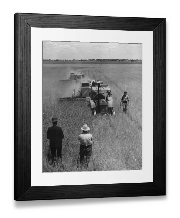 Framed Print : Combine Harvesting Framed Print : Combine Harvesting