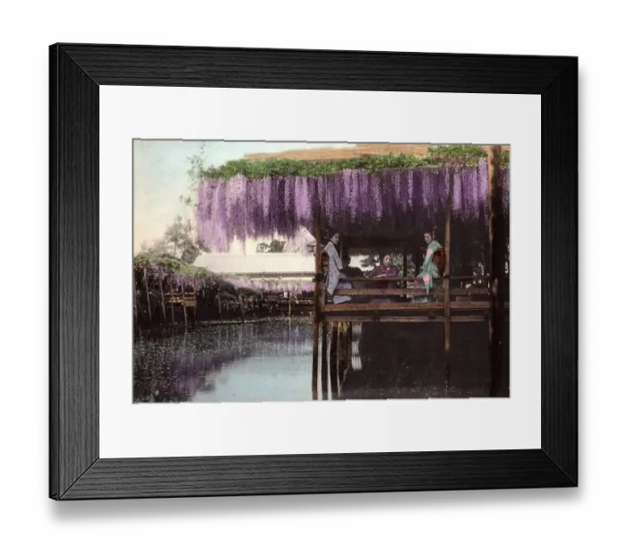 Framed Print : Wisteria Arbour