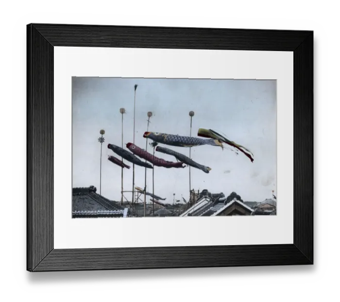 Framed Print : Flying The Carp Framed Print : Flying The Carp