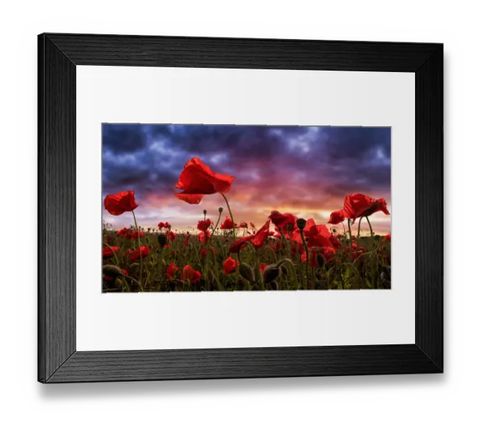 Framed Print : Remembering Framed Print : Remembering