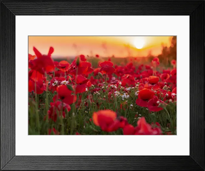 Framed Print : The Great Outdoors Framed Print : The Great Outdoors