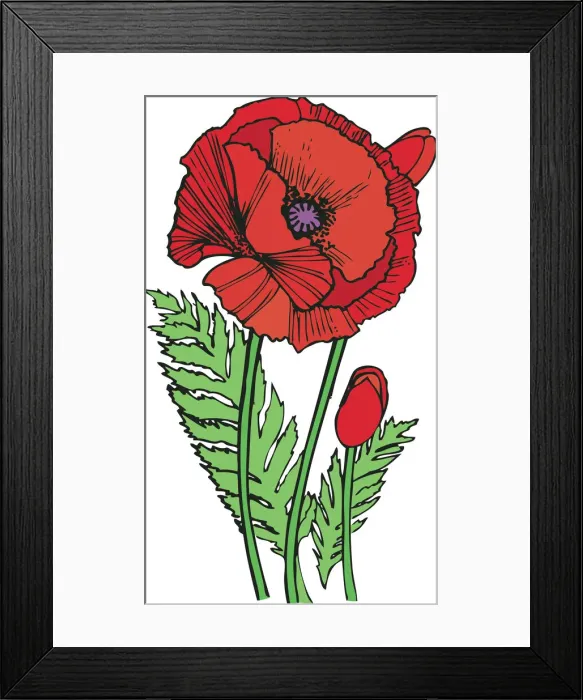 Framed Print : Pen&InkOrientalPoppy Framed Print : Pen&InkOrientalPoppy