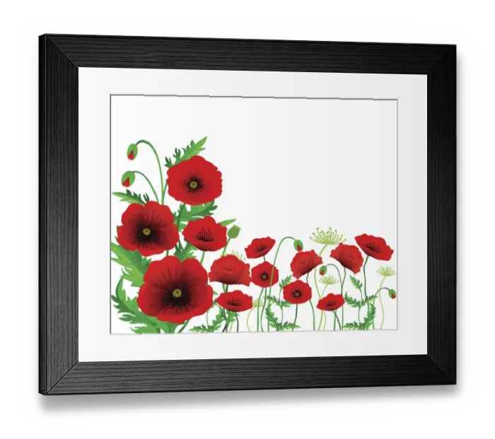 Framed Print : Isolated Poppy Framed Print : Isolated Poppy