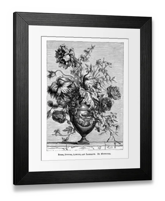 Framed Print : Old engraved illustration of Roses, poppies, jasmine and larkspur by Monnoyer Framed Print : Old engraved illustration of Roses, poppies, jasmine and larkspur by Monnoyer
