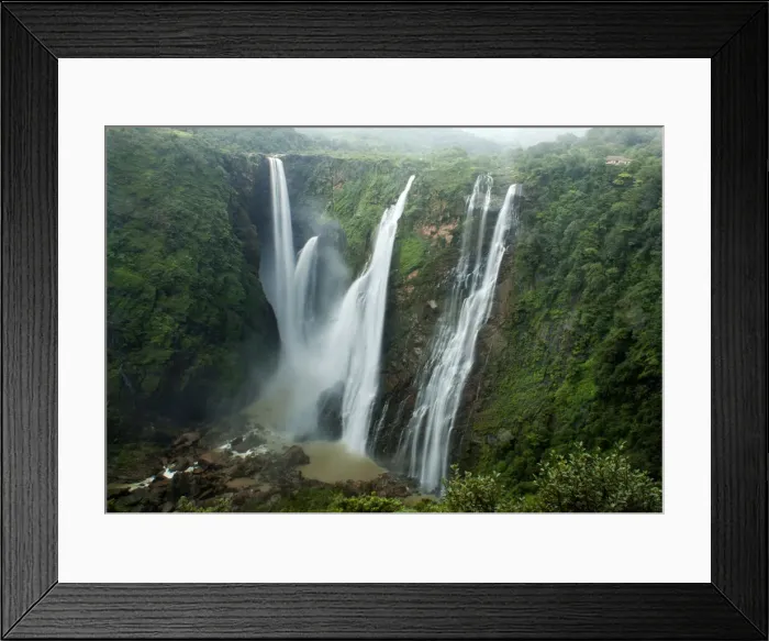 Framed Print : Jog falls. Four falls are named as Raja, Roarer, Rocket and Rani respectively Framed Print : Jog falls. Four falls are named as Raja, Roarer, Rocket and Rani respectively