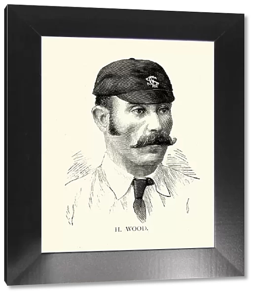 Henry Wood, Victorian English cricketer, Surrey and Kent County Cricket, 19th Century