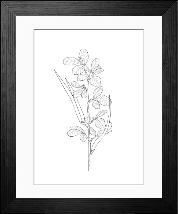 Framed Print : Dorling Kindersley Prints, 1098382602 Framed Print : Dorling Kindersley Prints, 1098382602