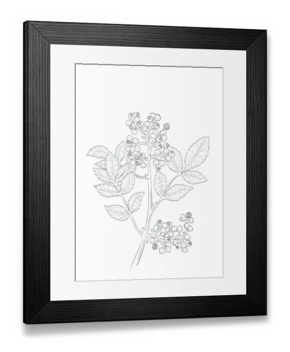Framed Print : Dorling Kindersley Prints, 1098382572 Framed Print : Dorling Kindersley Prints, 1098382572