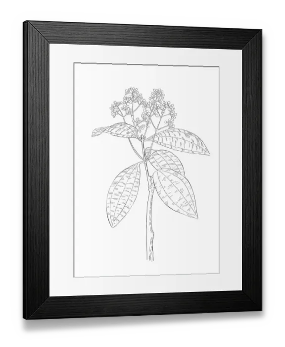 Framed Print : Dorling Kindersley Prints, 1098382550 Framed Print : Dorling Kindersley Prints, 1098382550