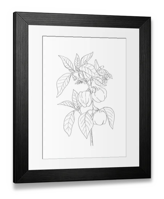 Framed Print : Dorling Kindersley Prints, 1098382496 Framed Print : Dorling Kindersley Prints, 1098382496