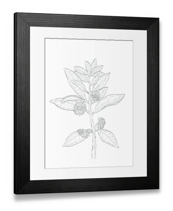 Framed Print : Dorling Kindersley Prints, 1098382472 Framed Print : Dorling Kindersley Prints, 1098382472