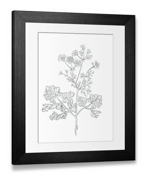 Framed Print : Dorling Kindersley Prints, 1098382350 Framed Print : Dorling Kindersley Prints, 1098382350