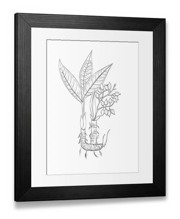 Framed Print : Dorling Kindersley Prints, 1098382342 Framed Print : Dorling Kindersley Prints, 1098382342