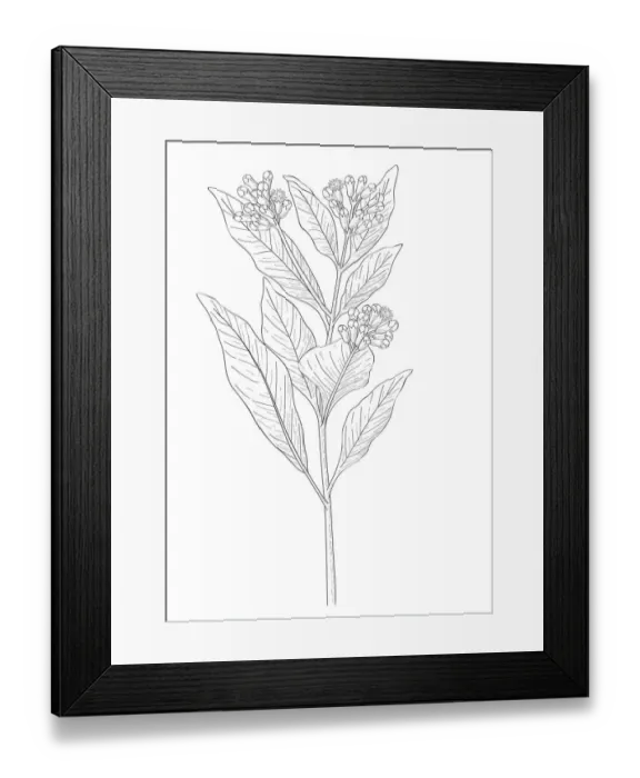 Framed Print : Dorling Kindersley Prints, 1098382322 Framed Print : Dorling Kindersley Prints, 1098382322