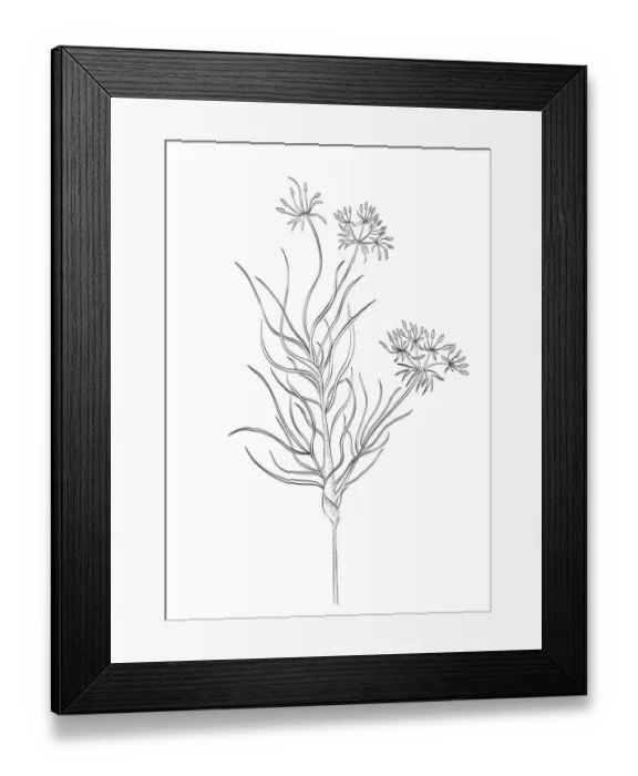 Framed Print : Dorling Kindersley Prints, 1098382302 Framed Print : Dorling Kindersley Prints, 1098382302