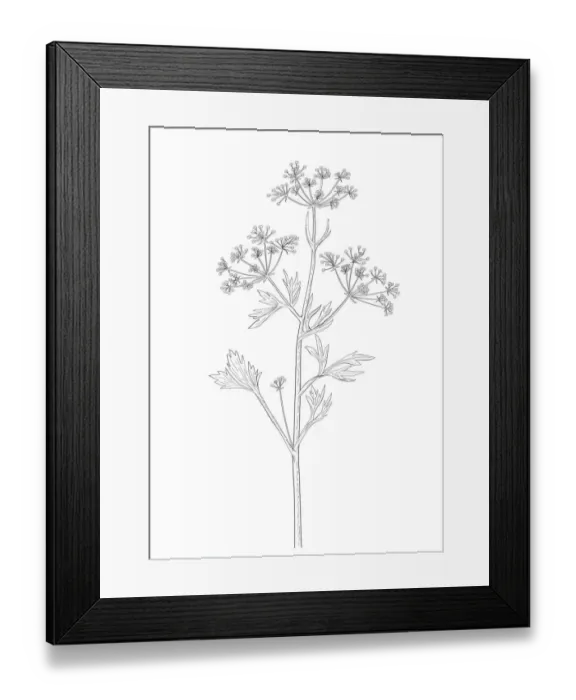 Framed Print : Dorling Kindersley Prints, 1098382312 Framed Print : Dorling Kindersley Prints, 1098382312