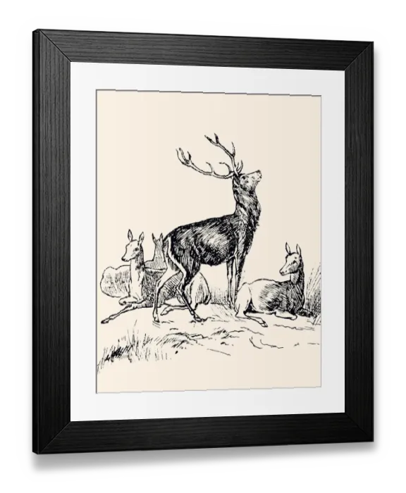 Framed Print : DEER FAMILY (XXXL) Framed Print : DEER FAMILY (XXXL)