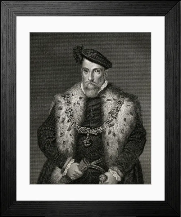 Framed Print : Henry Fitzalan (XXXL) Framed Print : Henry Fitzalan (XXXL)