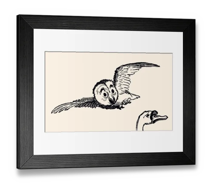 Framed Print : OWL and GOOSE (XXXL) Framed Print : OWL and GOOSE (XXXL)