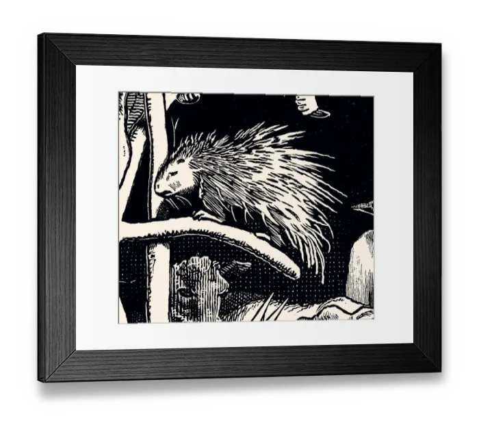 Framed Print : PORCUPINE (XXXL) Framed Print : PORCUPINE (XXXL)