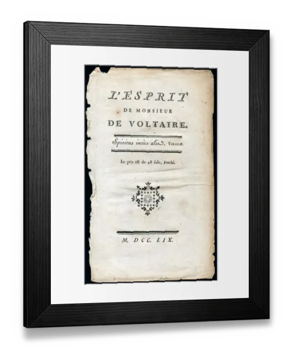 Framed Print : The spirit of Mr De VOLTAIRE (XXXL) Framed Print : The spirit of Mr De VOLTAIRE (XXXL)