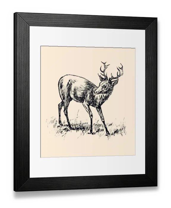 Framed Print : DEER (XXXL) Framed Print : DEER (XXXL)