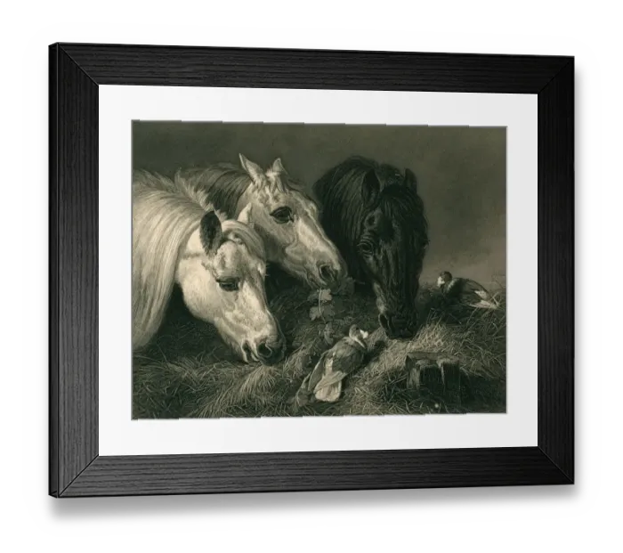 Framed Print : The scanty meal Framed Print : The scanty meal