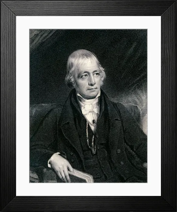 Framed Print : Walter Scott (XXXL) Framed Print : Walter Scott (XXXL)